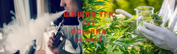 стаф Елизово