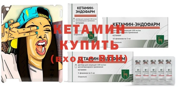 стаф Елизово